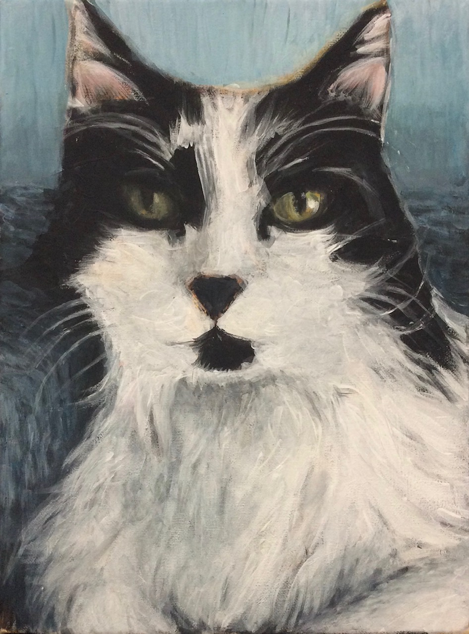 Portrait of a cat by MVS